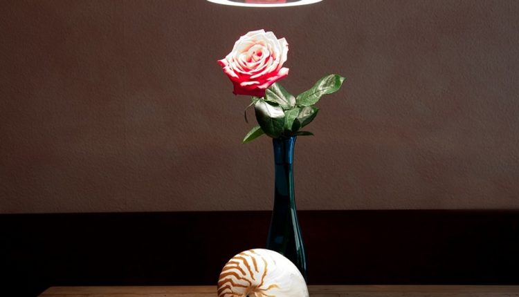 Różne rodzaje lamp wiszących – jak je wybierać?