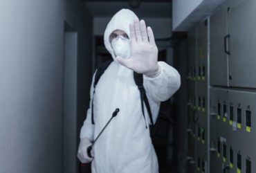zabezpieczenie obiektow przed szkodnikami